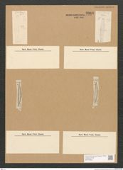 Diatomeae indet. Zeichnungen Sammlung Grunow Nr. 3310 (NHMW-BOT-W0370804)